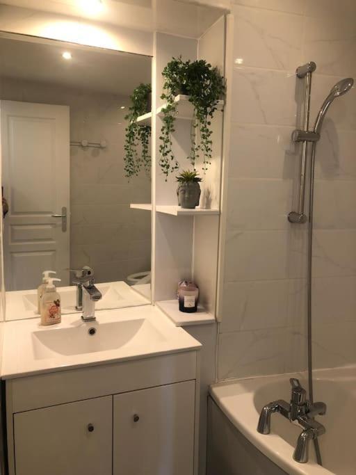 Studio Cosy En Plein Centre-Ville Канни Екстер'єр фото
